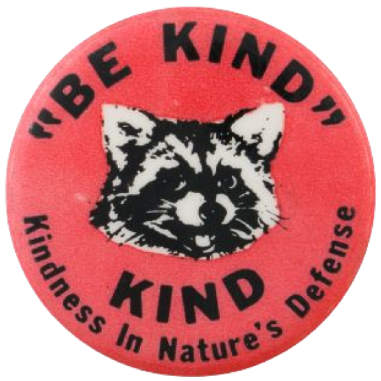 be kind pin