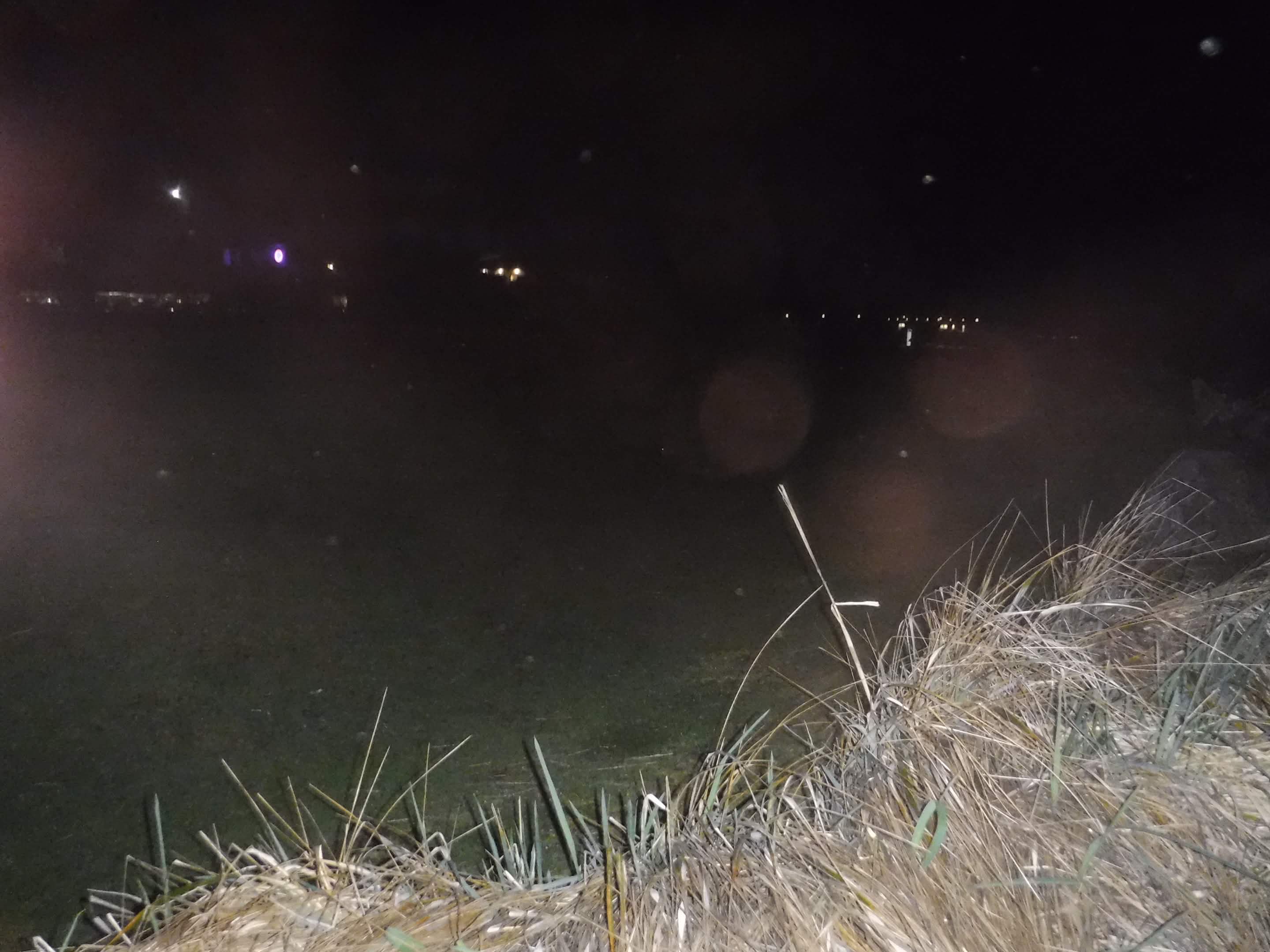 field